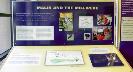 malik and the millipedes